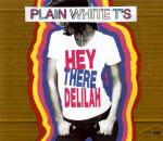 Plain White T's : Hey There Delilah